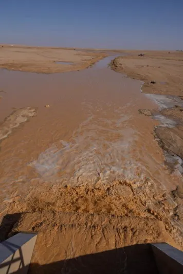 صحاري عرعر تتحول إلى وجهة شتوية مميزة بعد الأمطار