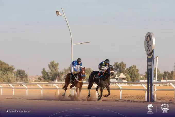 ختام رائع للحفل الثالث في ميدان فروسية الجوف وسط إثارة ومنافسة قوية