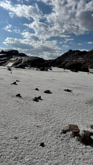 مشهد شتوي نادر يكسو جنوب حائل بالبياض ويخطف الأنظار (فيديو)
