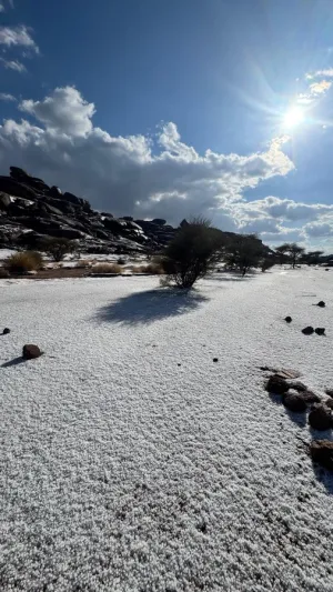 مشهد شتوي نادر يكسو جنوب حائل بالبياض ويخطف الأنظار (فيديو)