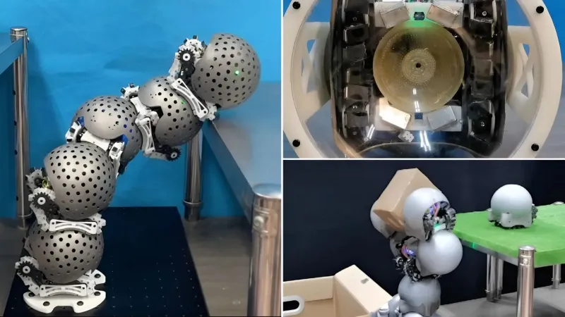 روبوتات مستوحاة من حركة الحلزون.. تفعل كل شيء ذاتيًا (فيديو)