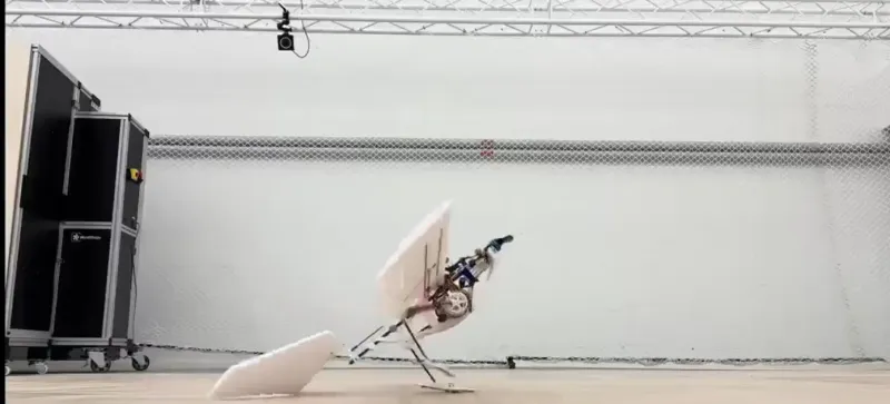 طائرة بدون طيار تمشي وتقفز وتنطلق مثل الطيور (فيديو)