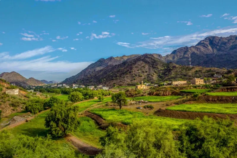 سحر الجبال الباردة: عطور شتويّة لمغامرات الباحة وعسير