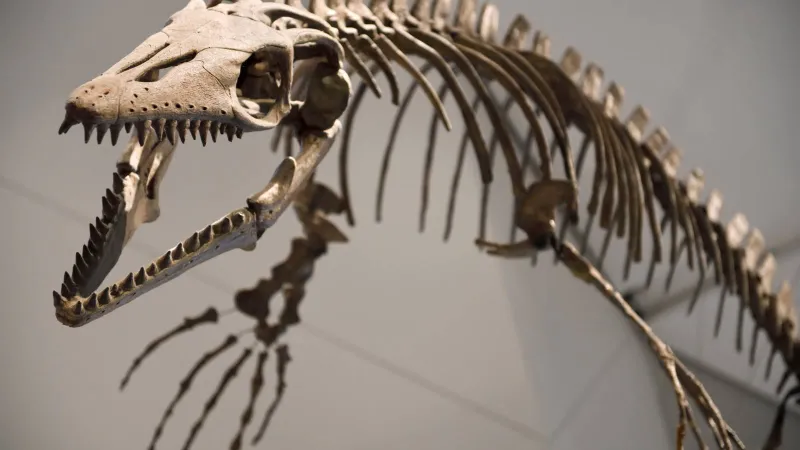 ما الذي عثر عليه علماء الآثار قرب موقع الألعاب الأولمبية الشتوية 2026 في إيطاليا؟