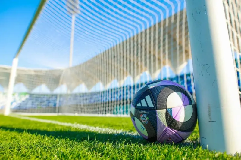 تعرف على حكام لقاءات الجولة 16 من دوري روشن