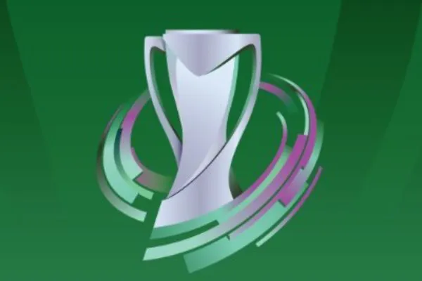 السعودية تكشف عن هوية كأس آسيا 2027 وتعلن بداية الاستعدادات (فيديو)