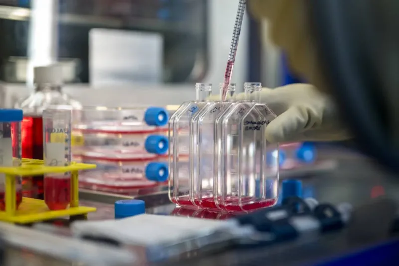 الطباعة ثلاثية الأبعاد داخل الخلايا تفتح آفاق الطب الحيوي.. إليك التفاصيل