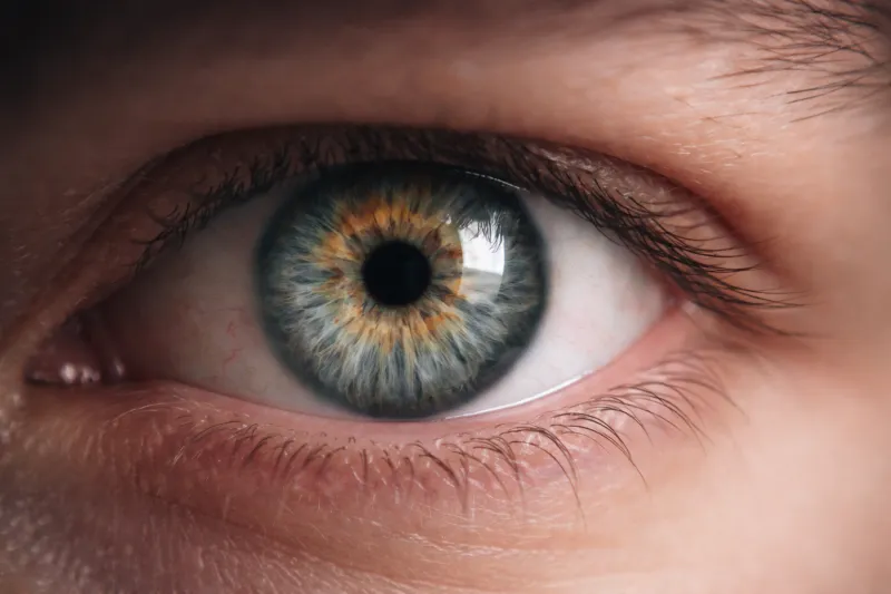 من خلال رمش الجفن فقط: تقنية مبتكرة تمنح الأمل لذوي الإعاقات الحركية