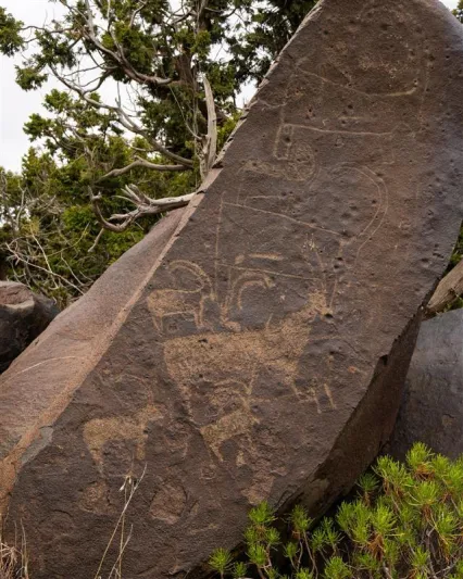 تعود لآلاف السنين.. اكتشاف 20 صخرة أثرية في مشروع قمم السودة 