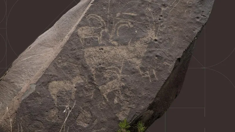 تعود لآلاف السنين.. اكتشاف 20 صخرة أثرية في مشروع قمم السودة 