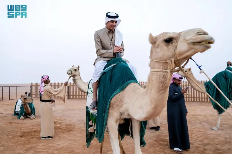 مهرجان خادم الحرمين للهجن.. كل ما تريد معرفته وقيمة الجوائز