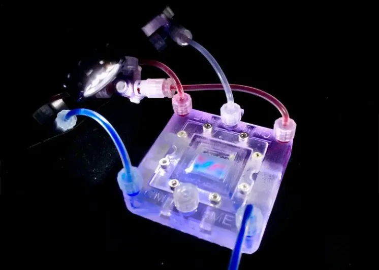 كبد بشري بـ"الطباعة الحيوية ثلاثية الأبعاد".. هل تنتهي قوائم انتظار المتبرعين؟