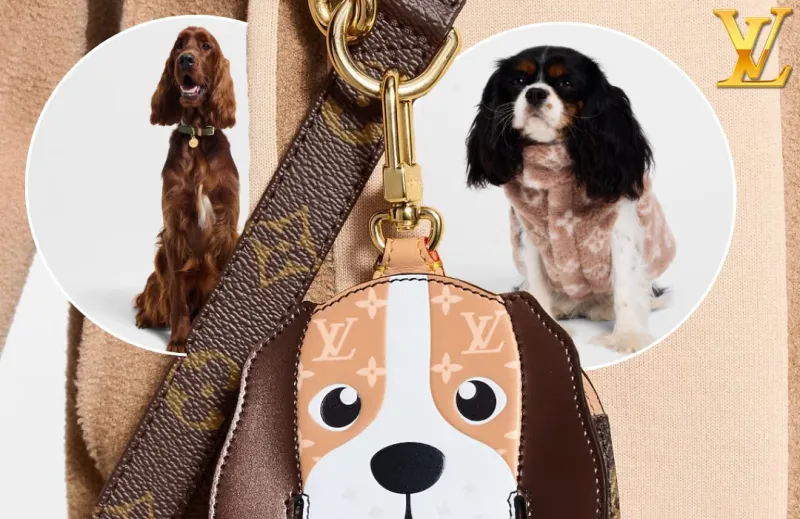 لويس فويتون تدخل عالم الفخامة للحيوانات الأليفة بإكسسوارات مميزة