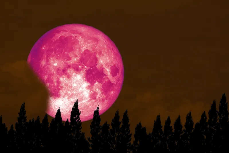 قمر عملاق وزخة شهب.. سماء يناير 2026 على موعد مع الإثارة الكونية