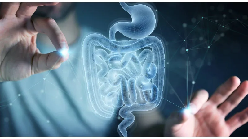 لماذا تعاني النساء من آلام الأمعاء أشد من الرجال؟ دراسة تكشف السر