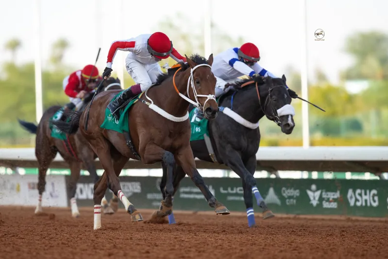 بطولة كأس السعودية 2026 لسباقات الخيل.. كم تبلغ قيمة الخيل الواحد؟