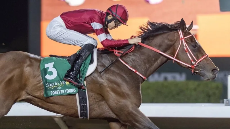 اليابان تسيطر على منصة تتويج كأس السعودية في ليلة استثنائية (فيديو)