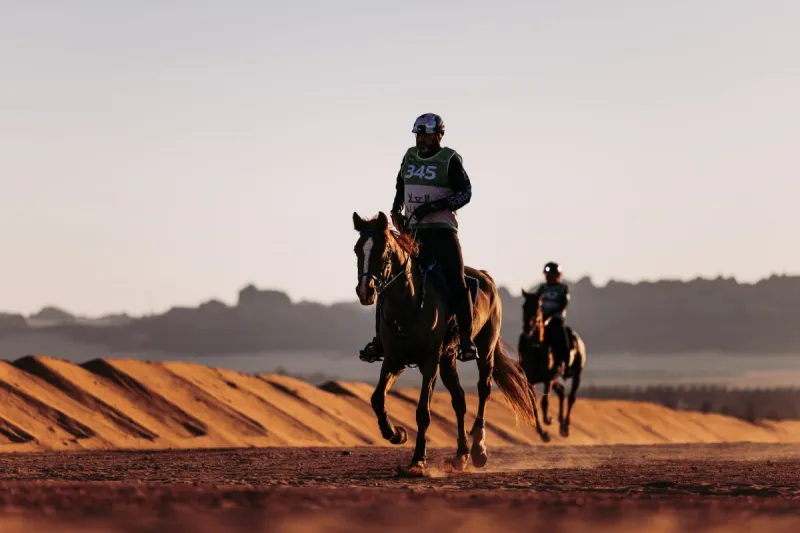 بطولة الفرسان للقدرة والتحمّل 2026 تنعقد في العُلا قبل الحدث العالمي المرتقب