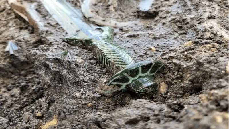 سيف برونزي أسطوري عمره 3400 عام يكشف أسرار الحرفيين القدماء في ألمانيا