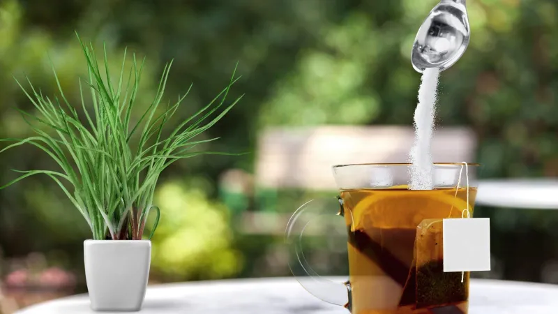 دراسة حديثة تحذر من بدائل للسكر تحتوي على مادة مسرطنة