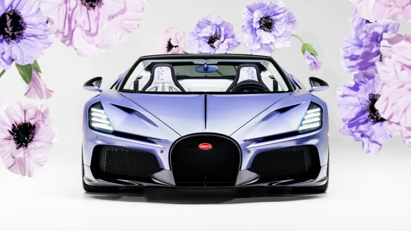  Bugatti W16 Mistral "كارولين".. تحفة بنفسجية فاخرة بـ 5 ملايين دولار (فيديو)