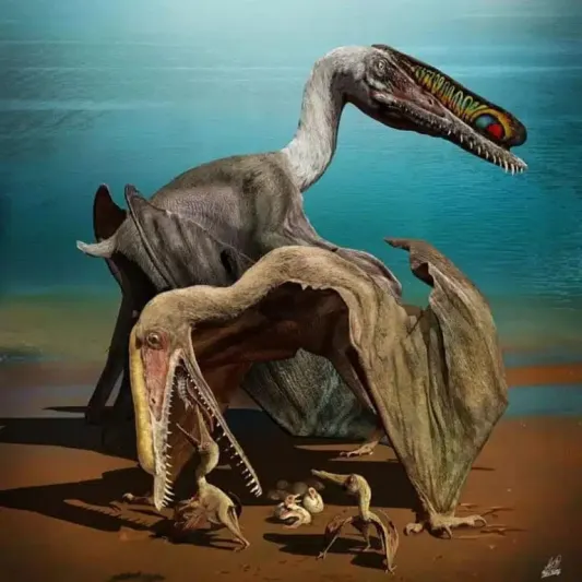 كنز في الصين.. اكتشاف 200 بيضة من أحافير التماسيح الطائرة