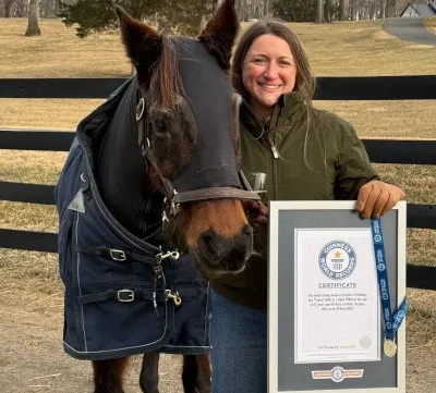 "فانسي" تدخل غينيس.. قصة صمود الفرس التي أصبحت أكبر حصان في العالم (فيديو)