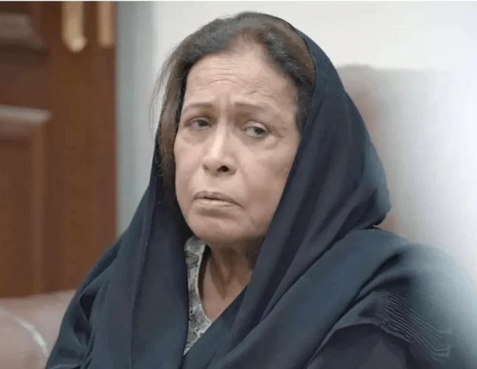 من "خالتي قماشة" إلى "أم هارون".. أبرز محطات الفنانة الراحلة حياة الفهد 