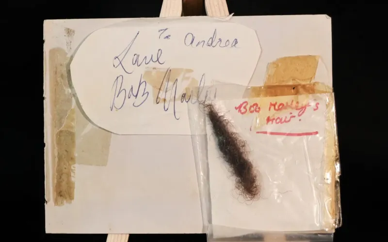 عرض خصلة من شعر بوب مارلي في مزاد عبر الإنترنت.. وهذا سعرها