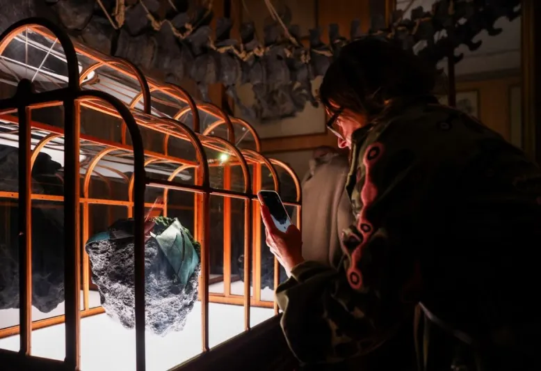 حقيبة من كولاجين ديناصور T. rex.. تعرف على السعر المذهل 