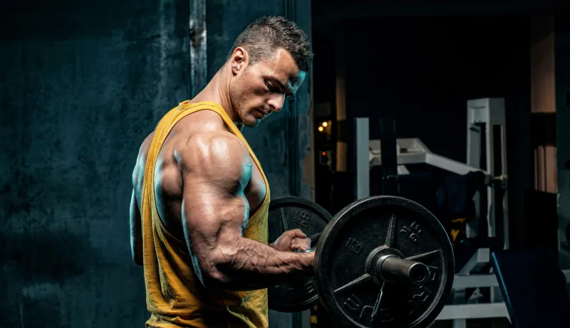 برنامج فينس جيروندا 8×8: ضخّم عضلاتك بذكاء