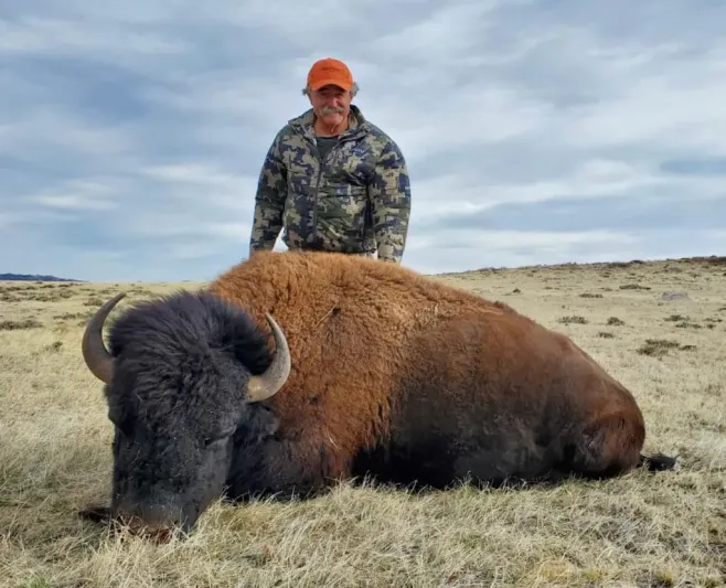 "الصياد أصبح فريسة".. أفيال تقتل مليونيرًا خلال رحلة صيد في إفريقيا