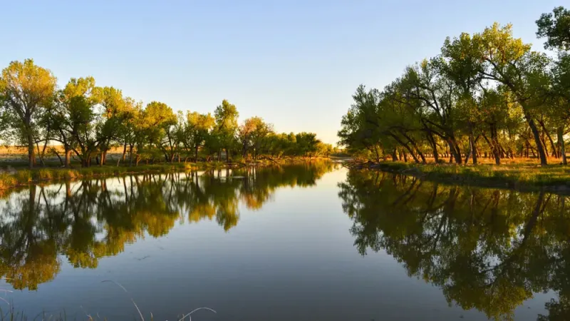 مزارع عائلة فريمان تبحث عن مشترٍ: إمبراطورية زراعية نادرة للبيع