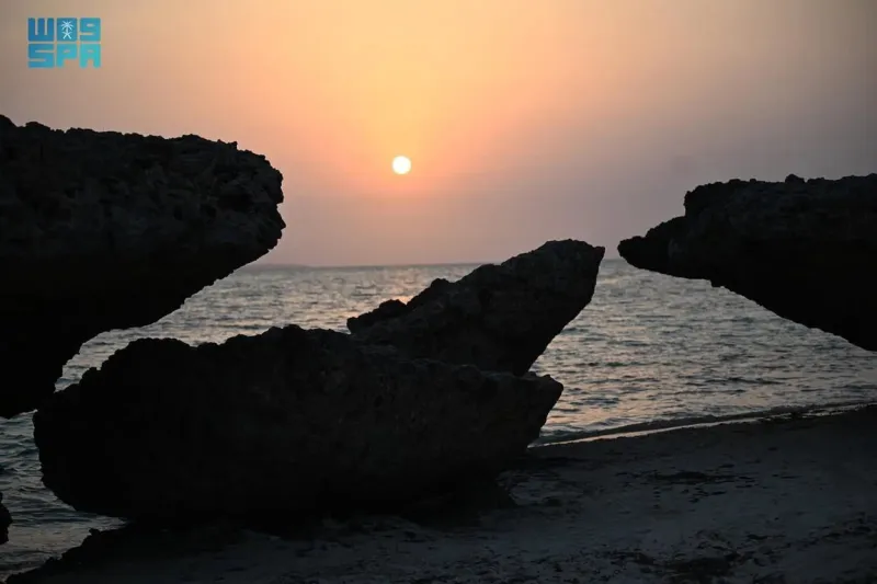 جزر فرسان تشق طريقها نحو العالمية: أول محمية بحرية سعودية ضمن قائمة رامسار