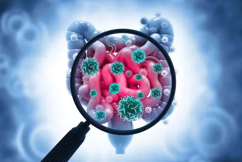 غدة "منسية" قد تكون سر إطالة عمر جهاز المناعة