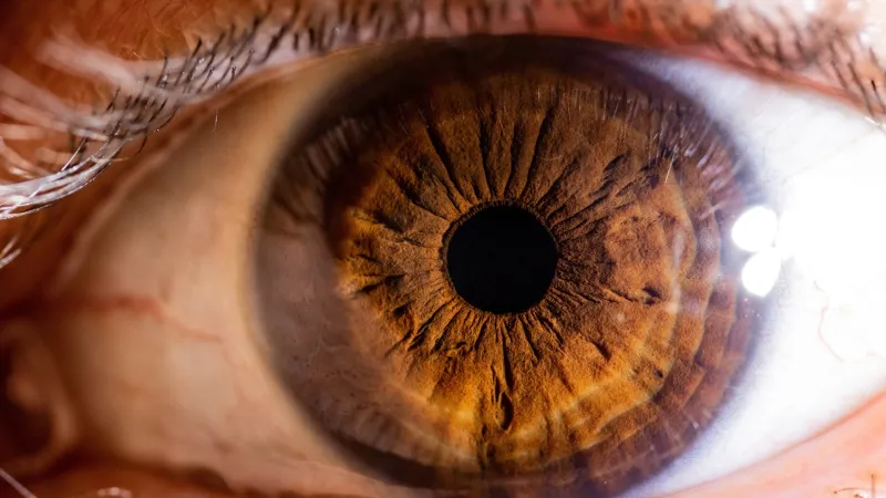 حدقة العين تفضح مشاعرك.. دراسة تكشف الفارق بين الغضب والحزن 