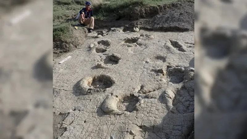 آثار ديناصورات منغوليا المفقودة تظهر بعد 70 عامًا.. ماذا كشفت؟