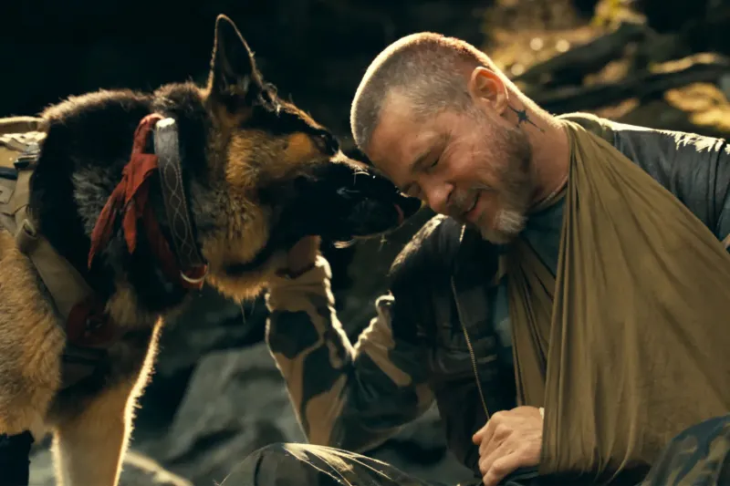 لماذا بكى براد بيت بعد قراءة سيناريو "Heart of the Beast"؟