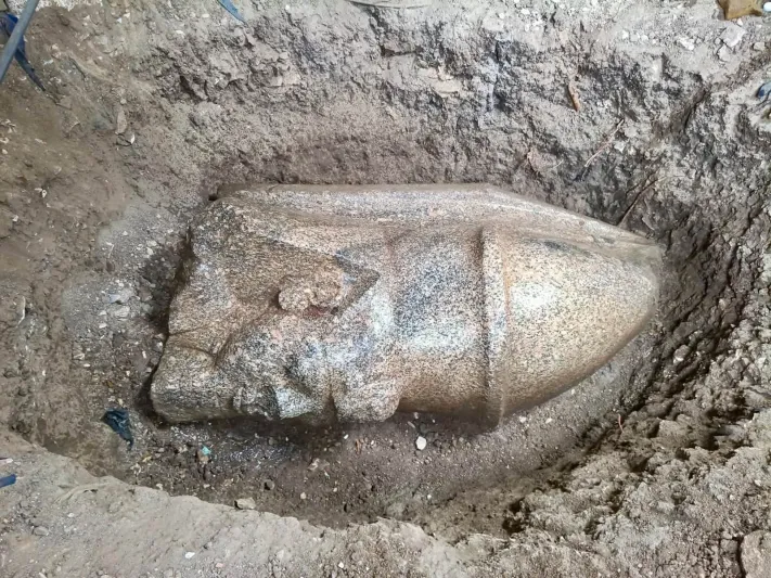 اكتشاف بقايا تمثالين ضخمين للملك رمسيس الثاني في الغربية بمصر