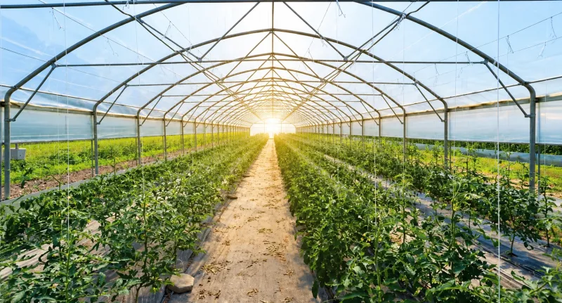 المعرض الزراعي السعودي 2026.. تقنيات حديثة وفرص استثمارية لتعزيز الأمن الغذائي