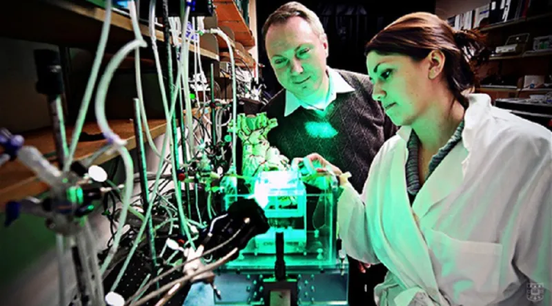 غشاء 3D يمكنه التنبؤ بالنوبات القلبية