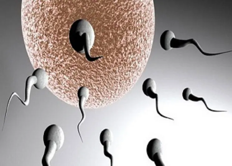 اكتشاف "جين" يؤدى إلى عُقم الرجل