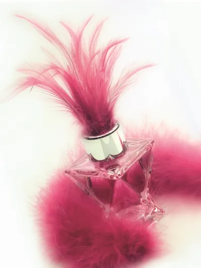 دونا: إحساس مرهف و تناغم غاية في الإبداع