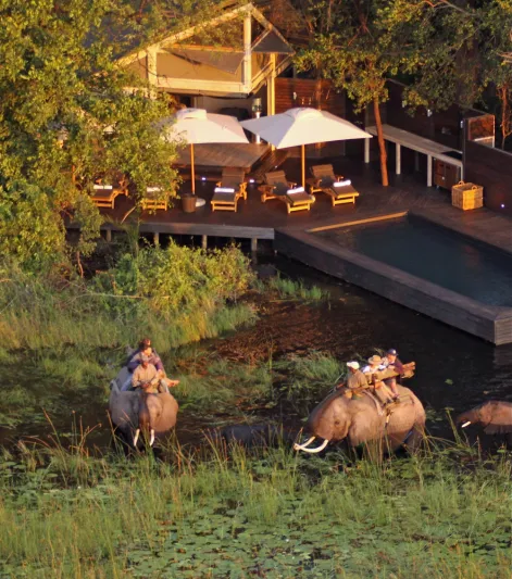 مخيم "أبو" فندق خمس نجوم في عمق ادغال افريقيا