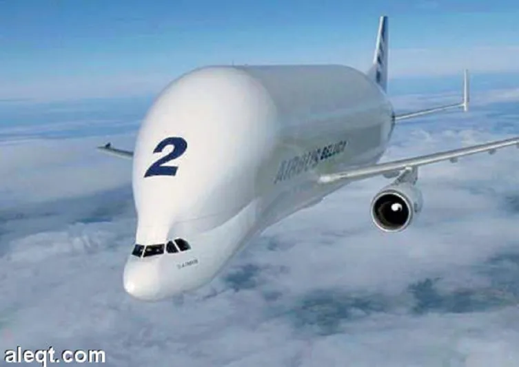 أغرب طائرة في العالم .. حوت أبيض