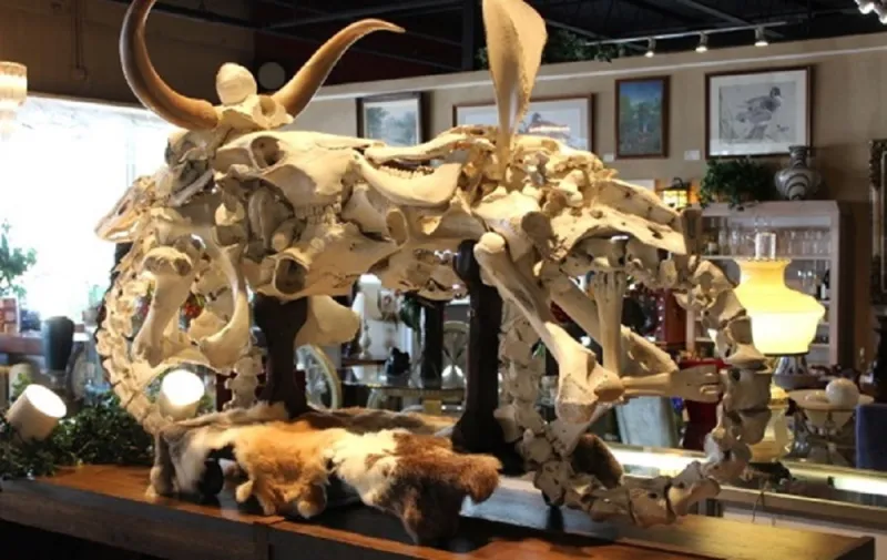 صورة: امريكي يعرض  دراجة نارية من عظام الحيوانات للبيع