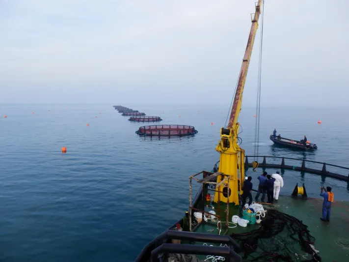 رجل الأعمال البحريني صقر شاهين:  ضبط الأعصاب والخطط المرنة سرّ حلّ الأزمات