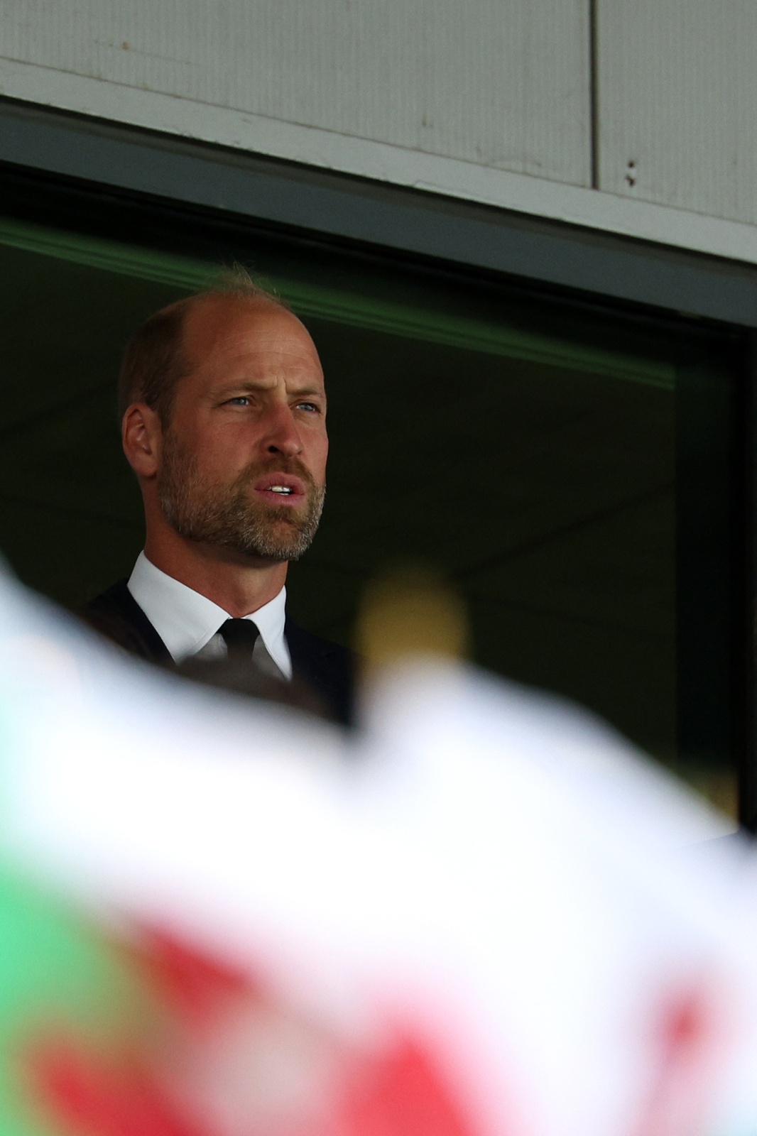 لماذا يبدو براد بيت والأمير ويليام أكثر جاذبية مع اللحية؟ العلم يجيب