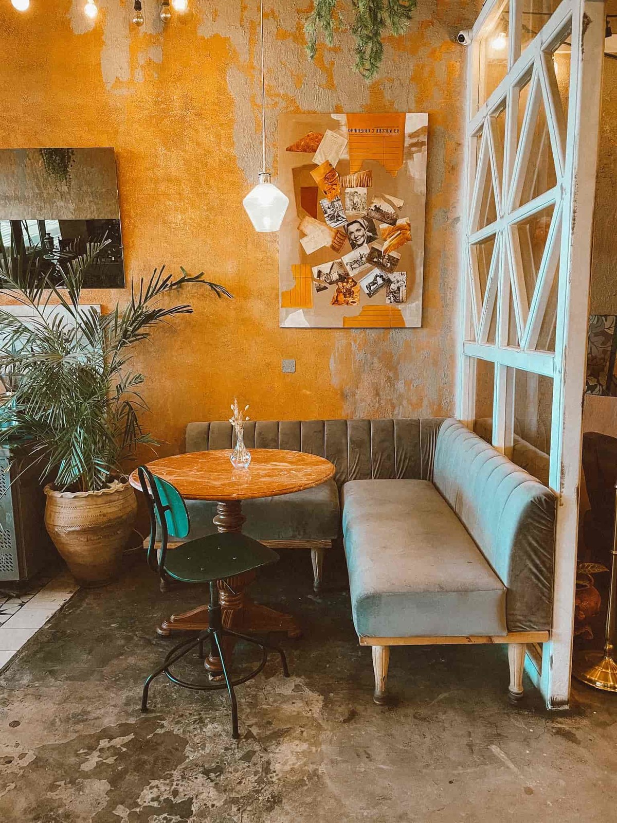 ويزدوم كافيه: