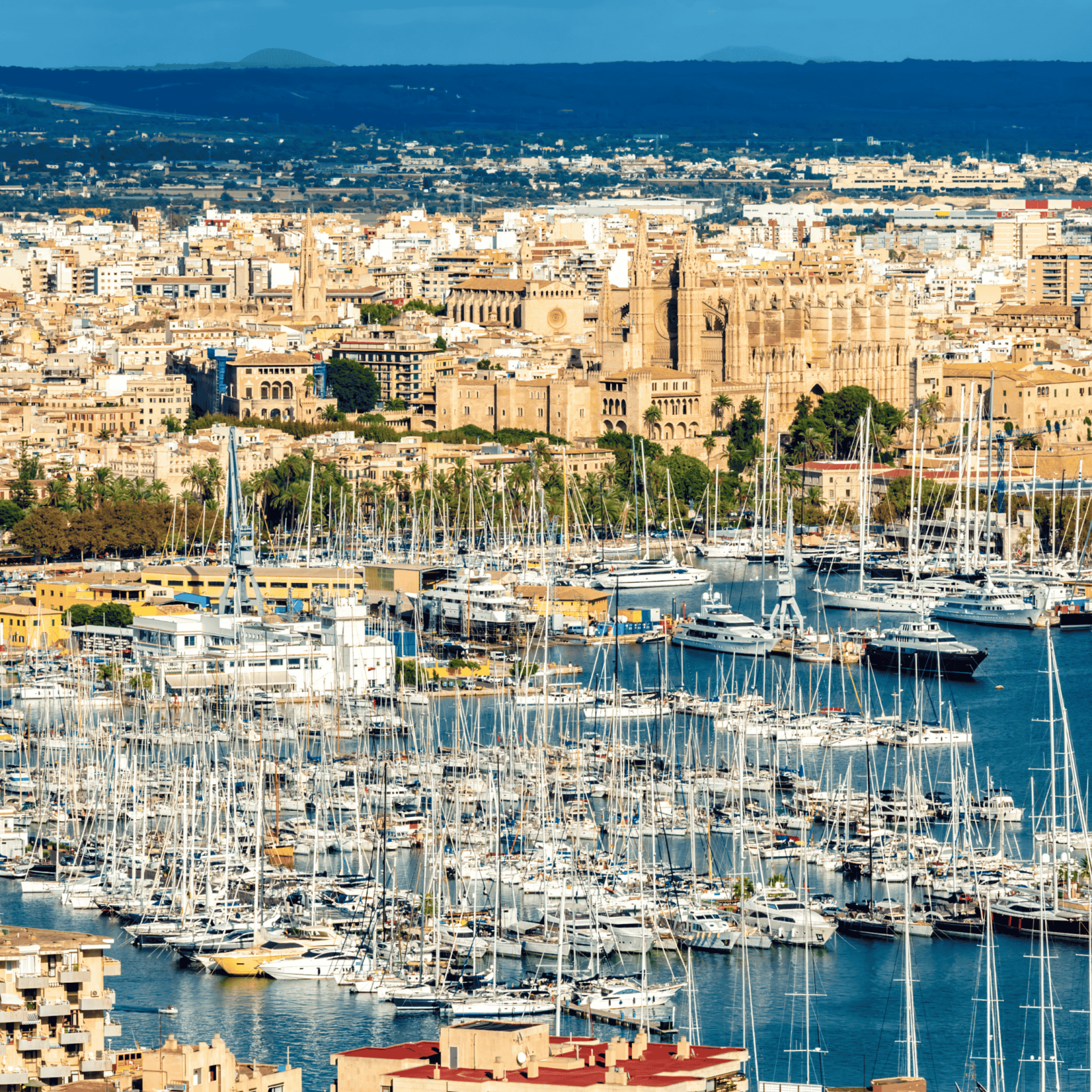 فيلا فاخرة للبيع في مايوركا بسعر 38 مليون دولار.. تفاصيل